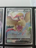 Pidgeot V - Pokemon Englisch