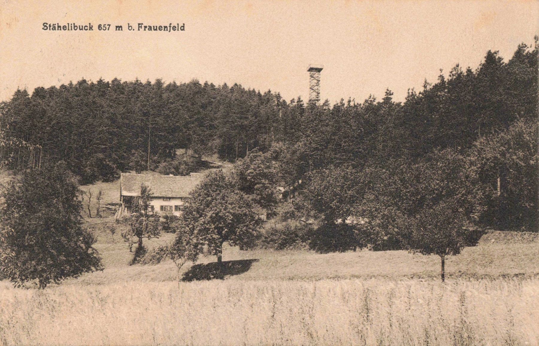 Cartoline postali: Stähelibuck Frauenfeld – Usato da Biasca venduto da Blenio71
