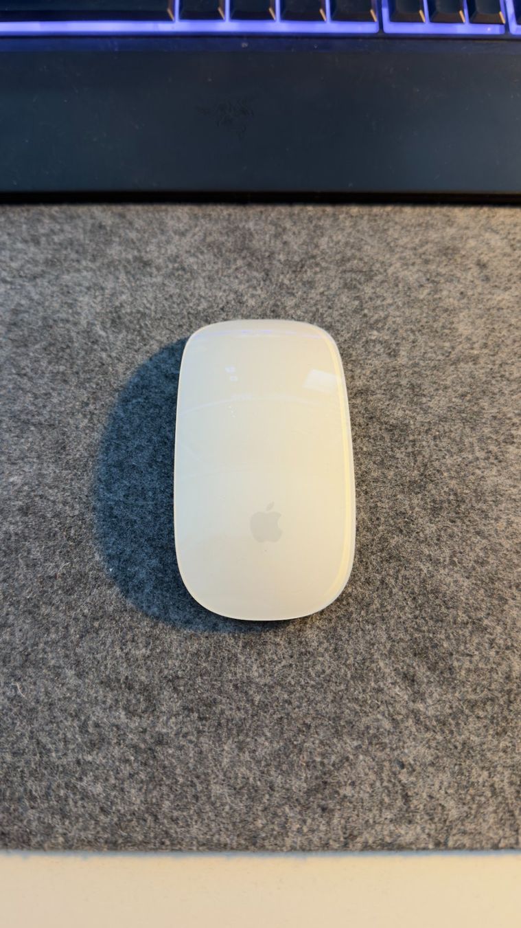Apple Mouse: Original Apple Magic Mouse - Silber/Blau – Usato da Romanshorn venduto da Coffee_Panda