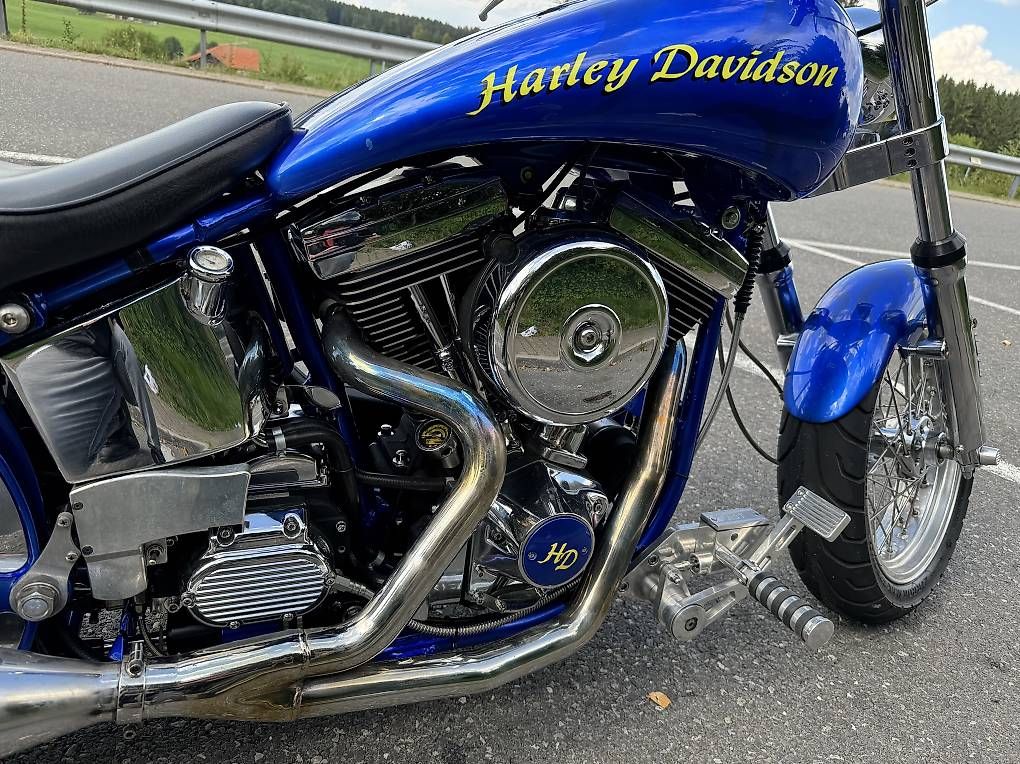 Harley-Davidson Strada: Harley Davidson custom – Usato da Vevey venduto da Chupita-met 3