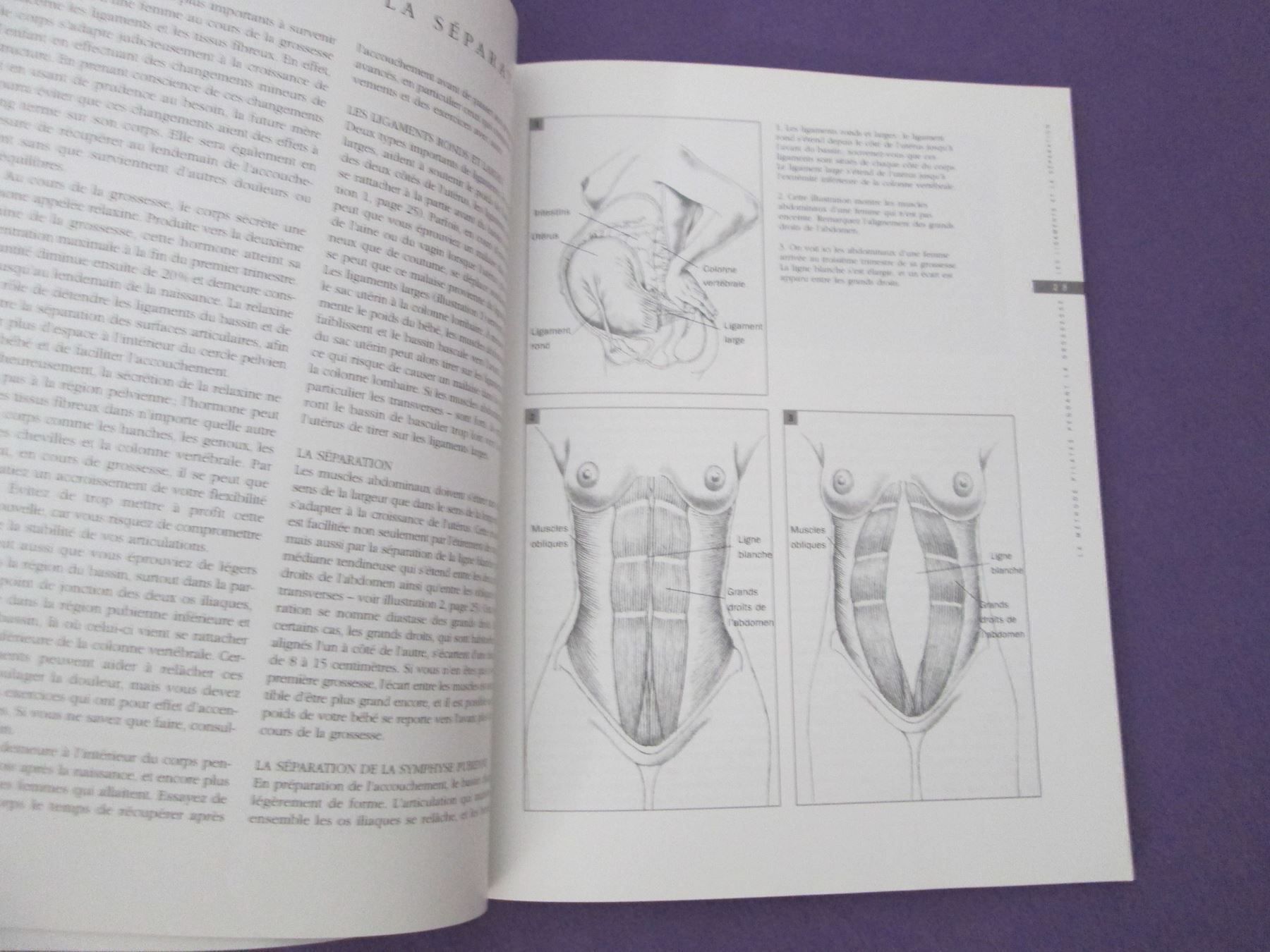 Bücher: La méthode pilates pendant la grossesse – Gebraucht aus Neuchâtel von Dualseele 2