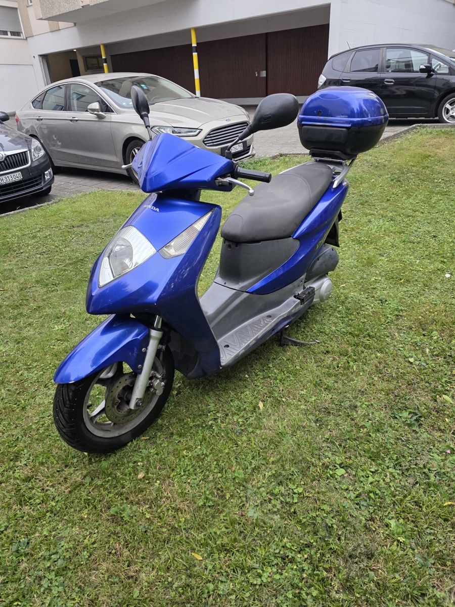 Honda Scooter: HONDA DYLAN 125 CC – Usato da Winterthur venduto da Fabio_46 2