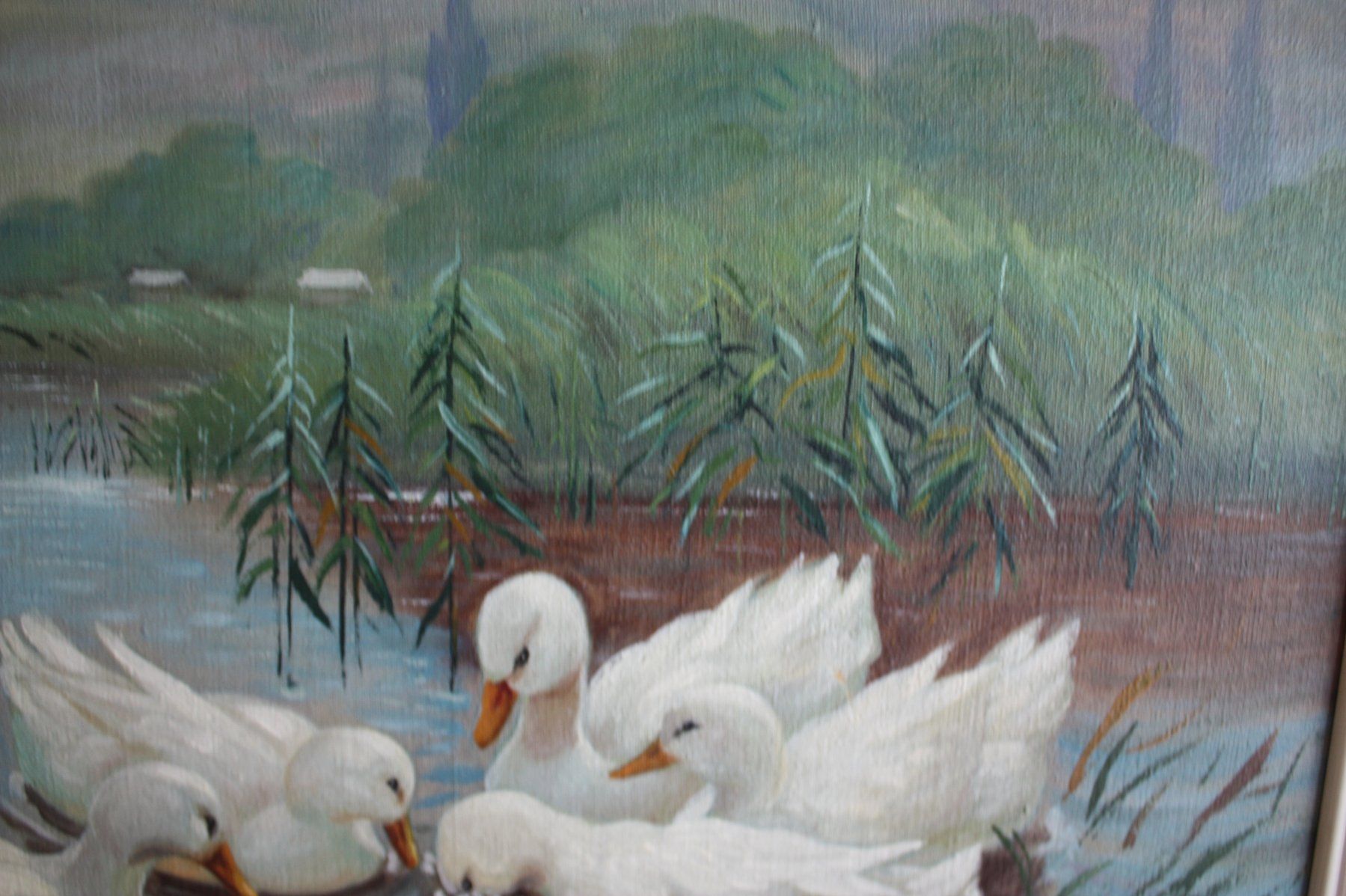 Dipinti: Enten im See – Usato da Altstätten SG venduto da sulim 4