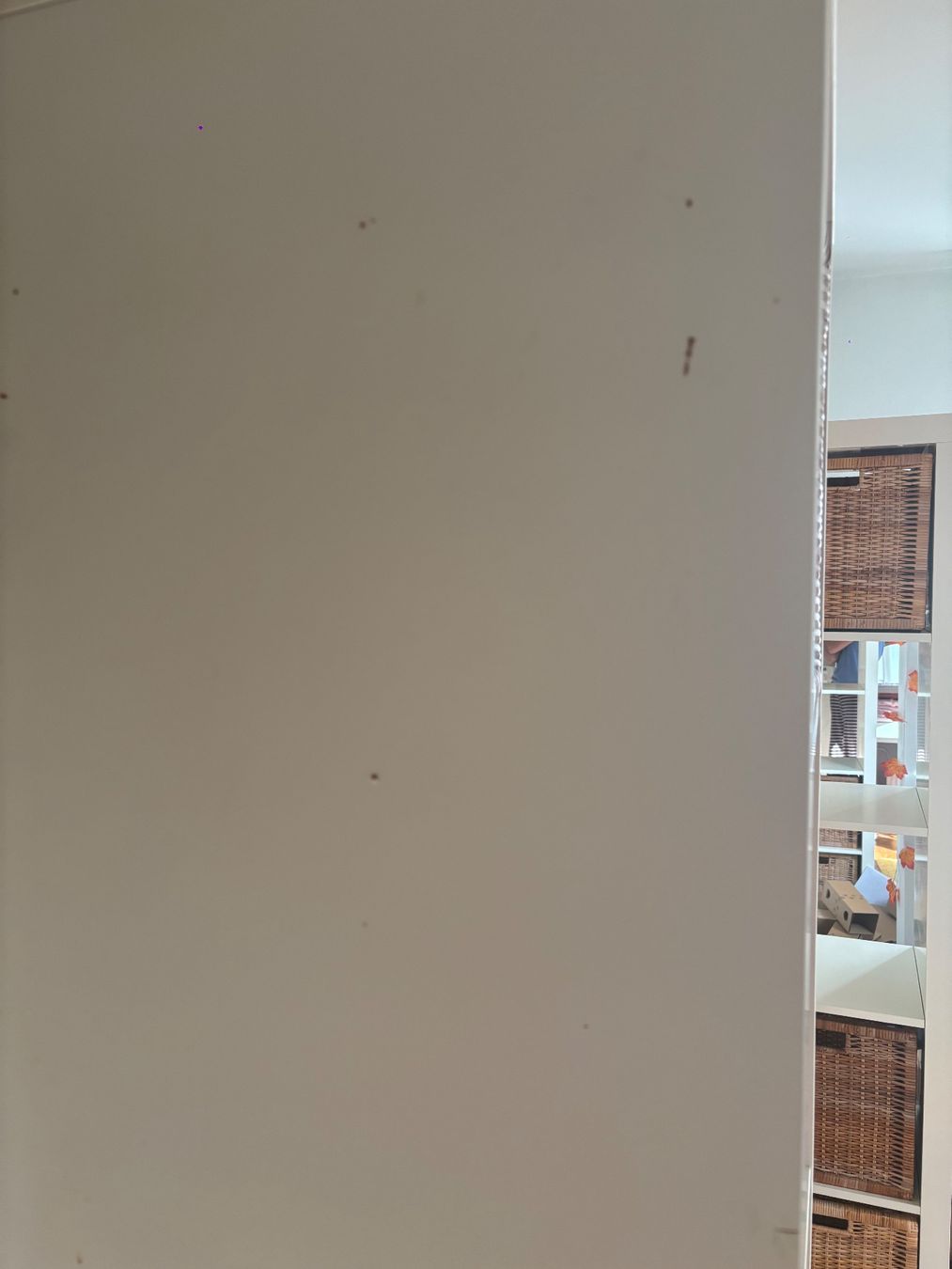Ikea Scaffali: Zwei IKEA Regale – Usato da Zofingen venduto da St21 3