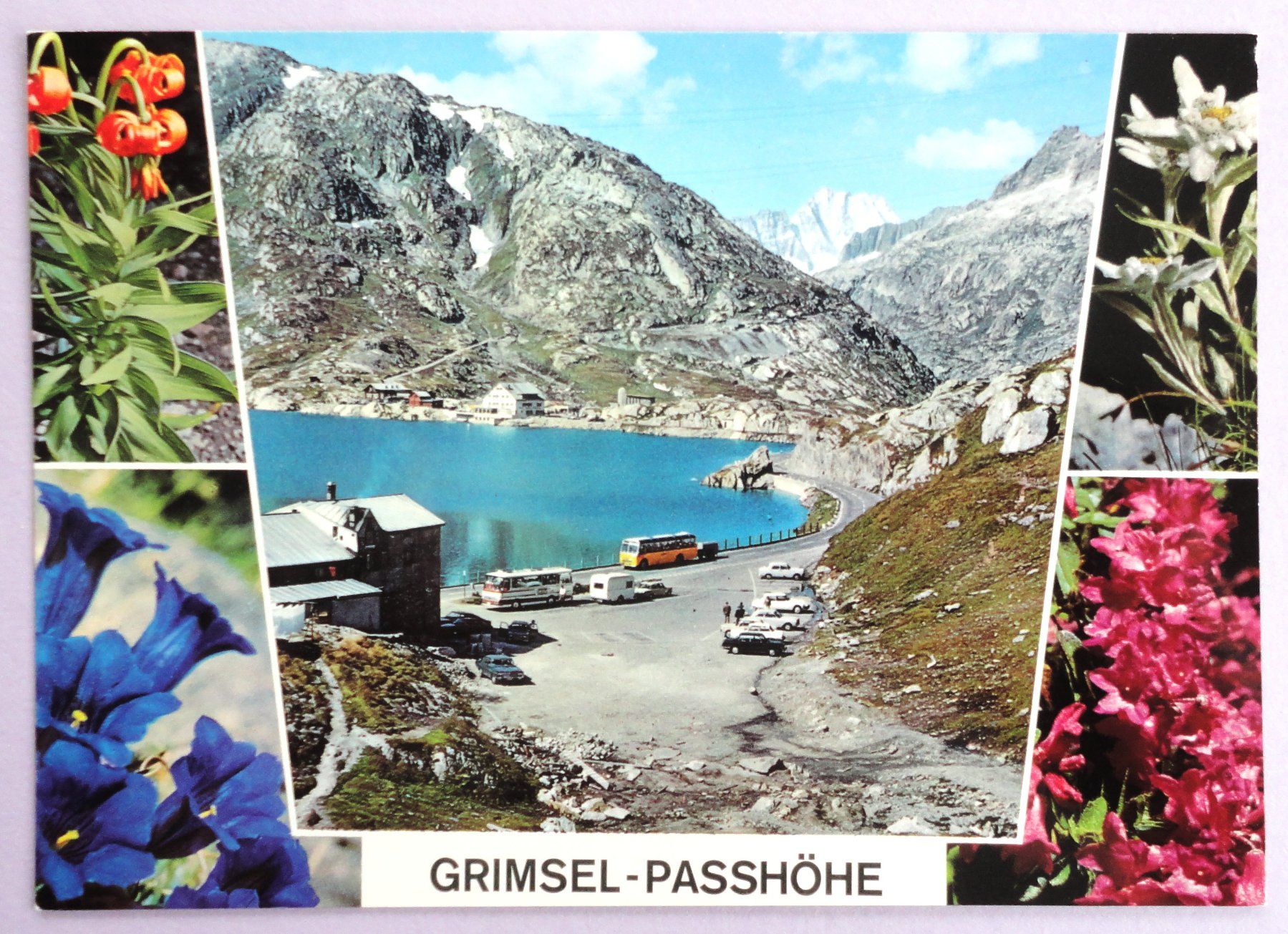 Cartoline postali: Grimsel-Passhöhe 2164 m ü.M. – Usato da Fétigny venduto da Billy2miny