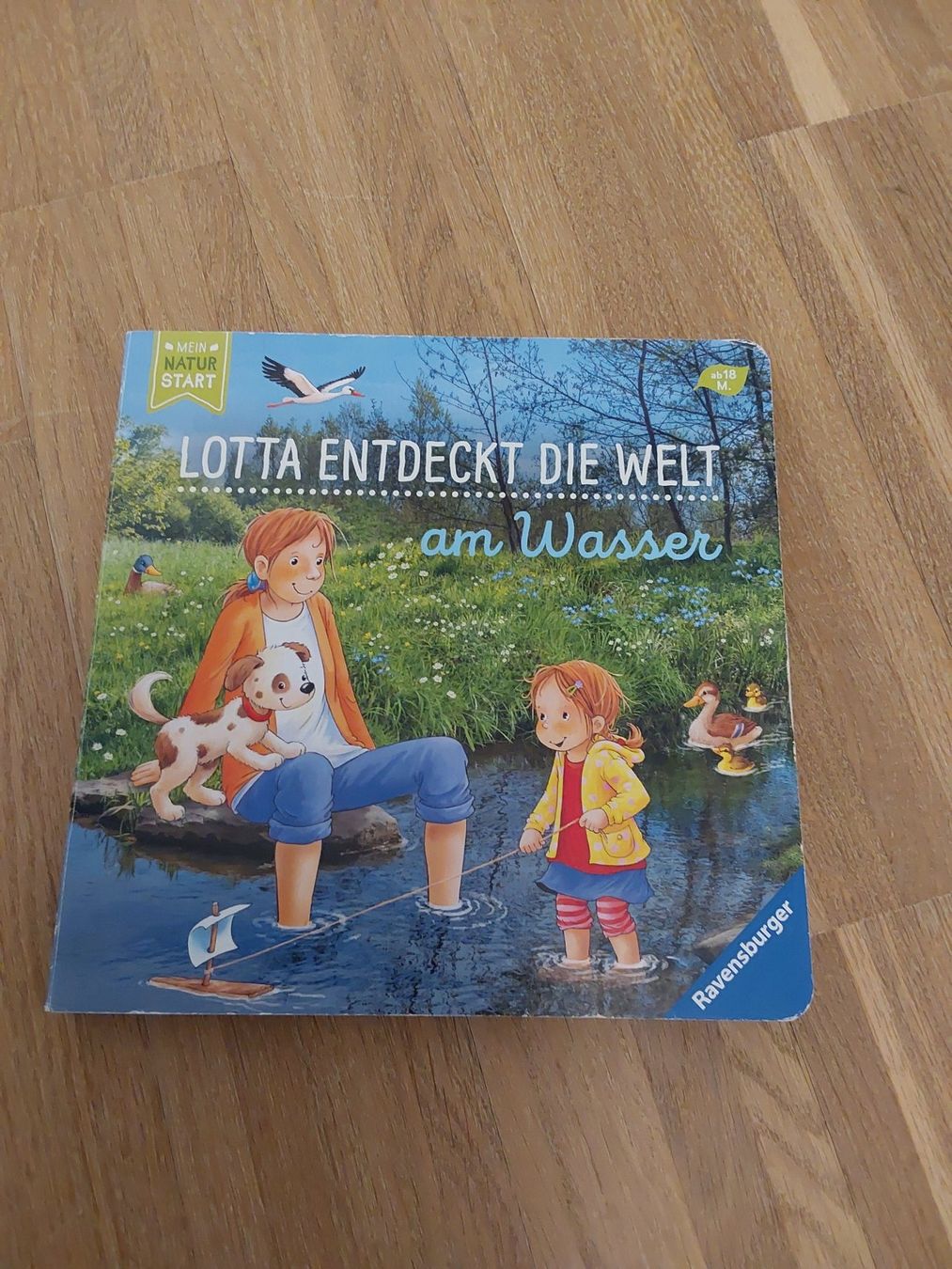 Libri: Kinder Bücher – Usato da Wallisellen venduto da Wallisellen77 7