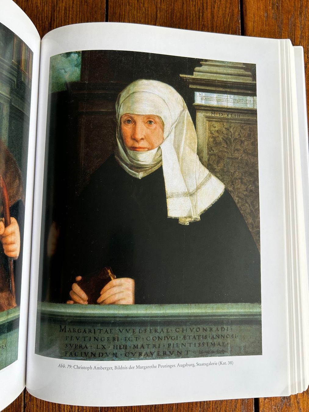 Libri: Christoph Amberger - Bildnismaler zu Augsburg – Usato da Basel venduto da Peter_schlemihl 5