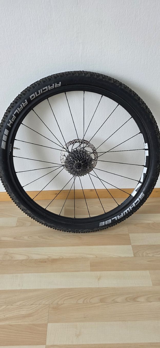 Pneus & Kompletträder: MTB Laufrad 29 Zoll mit Kassette – Neu (gemäss Beschreibung) aus Oberengstringen von Jocker-80 2