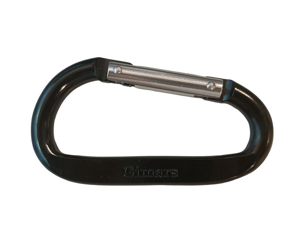 Kletterausrüstungen: GIMARS Karabiner | 6x – Gebraucht aus Luzern von Restwert_Luzern 1