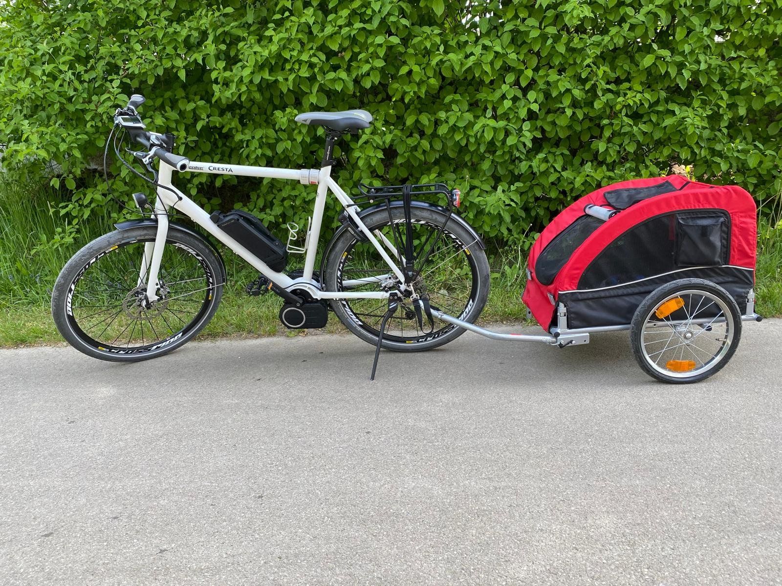 Cresta Biciclette: Cresta E-Drive E-Bike mit Hundeanhänger | Rahmengrösse 58 – Usato da Brugg AG venduto da pippi0815