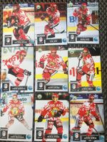 Zürcher SC Eishockey Saison 1996-1997 Sammelkarten zuverkauf