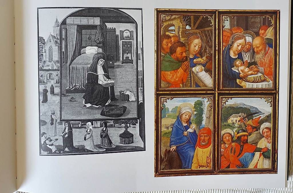 Libri: Art flamand – Nuovo (secondo la descrizione) da Genève venduto da fto_sz8d 2