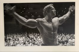 Arnold Schwarzenegger Schild – 130 × 80 cm
