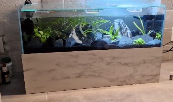 Acquari: UNS Long Aquarium mit LED Beleuchtung. – Usato da Obermumpf venduto da chr_675z 6