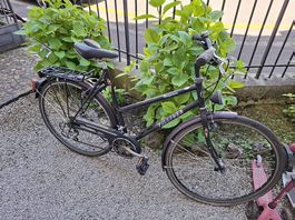 Damen Citybike Villiger