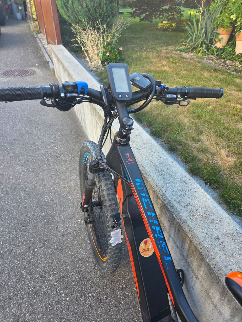 Totem Biciclette: E-Bike E-Mountainbike 1013km Totem – Difettoso da Flumenthal venduto da herrme1993 7