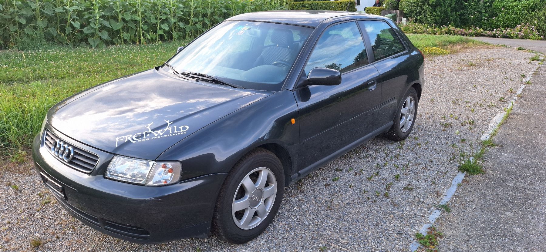 Audi Autos: Audi A3 – D'occasion à Berg am Irchel par Bergai