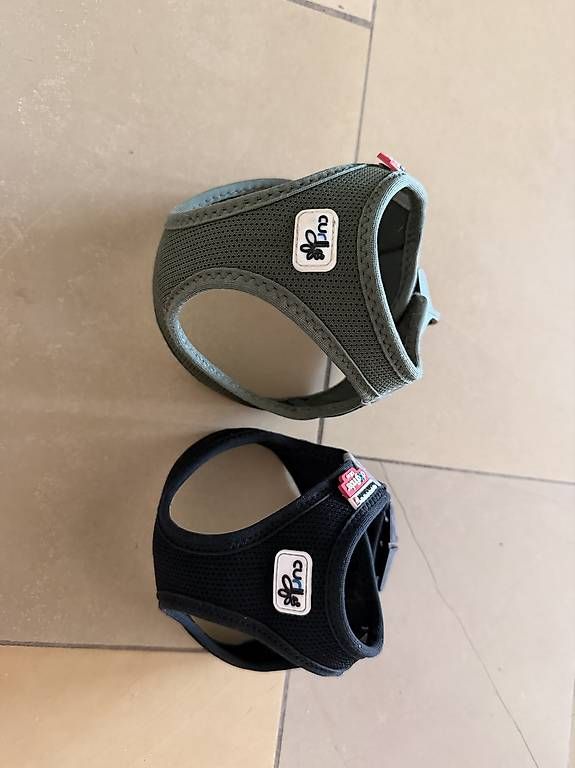 Leine & Halsband: Curly Hundegeschirr – Gebraucht aus Meggen von mar_rb27 4