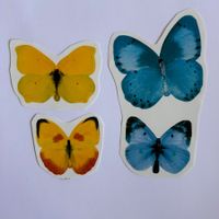 Aufkleber Schmetterlinge (Gelb & Blau)