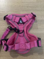 Hundegeschirr mit Leine, Grösse S, Pink