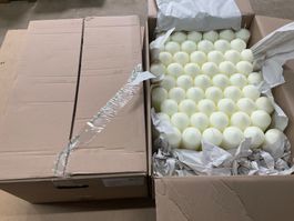 881 Posten Übertauchkerzen aus Liquidation