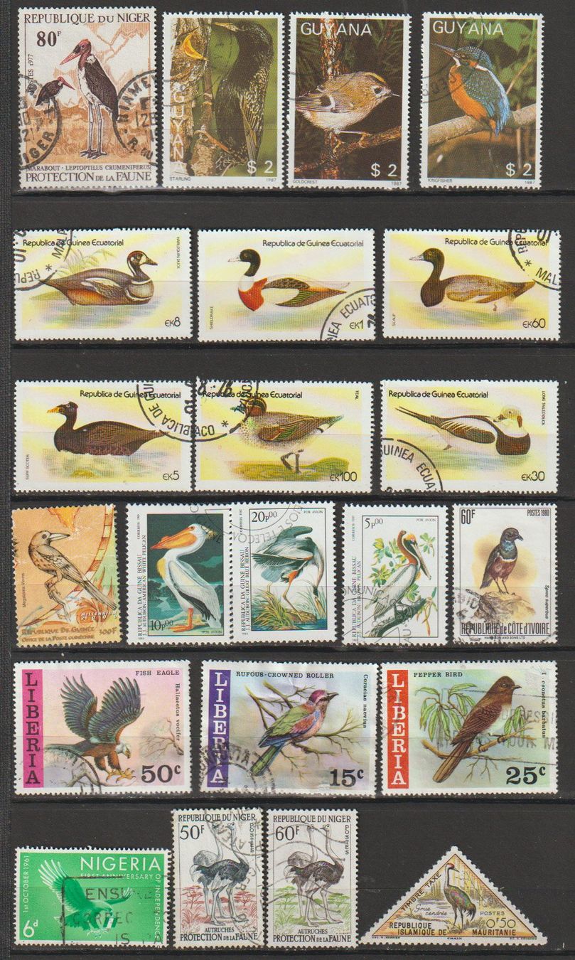 Tutti i francobolli: Timbre-poste oiseaux – Usato da Crans-Montana venduto da kira56 1