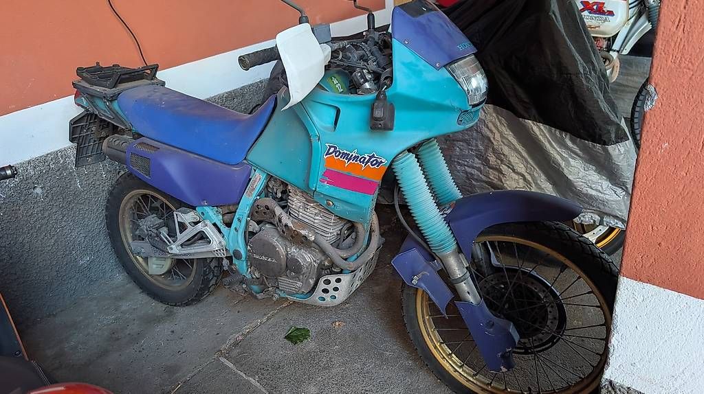 Enduro: Honda NX 650 – Usato da Coldrerio venduto da Bacca.219