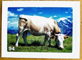 Migros Nature Detectives - Bild Nr. 94