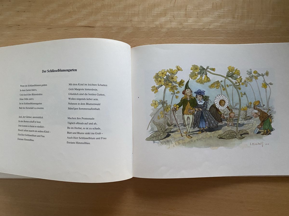 Libri: Blumen-Märchen - Ernst Kreidolf – Usato da Schwarzenburg venduto da Michellu 4