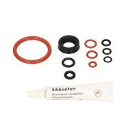 1 Saeco Incanto Dichtungs Set    #20