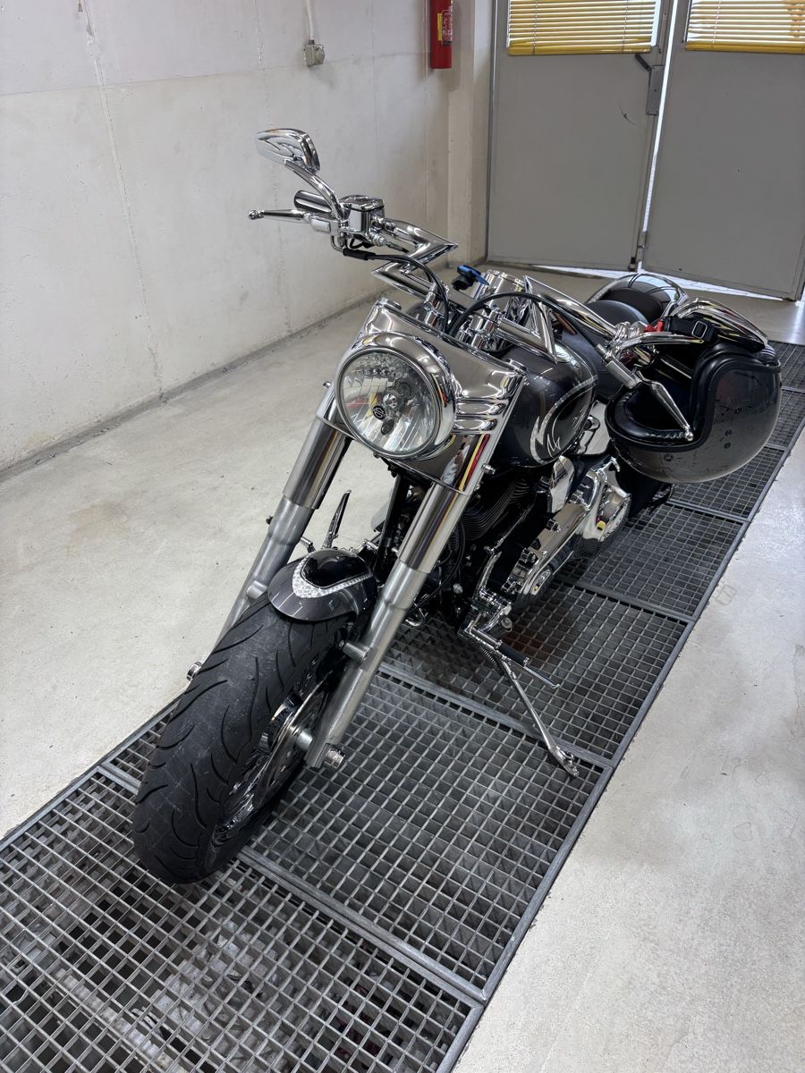 Harley-Davidson Altro: Harley Davidson Fat Boy Flstf – Usato da Birr venduto da Rosa74 9