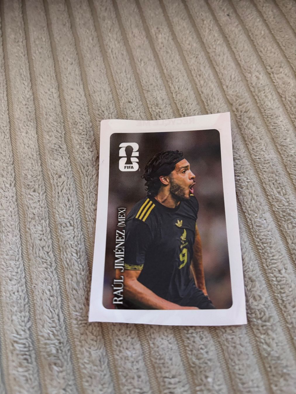 Panini Cartes à collectionner: Panini – D'occasion à Mörschwil par 7Phil