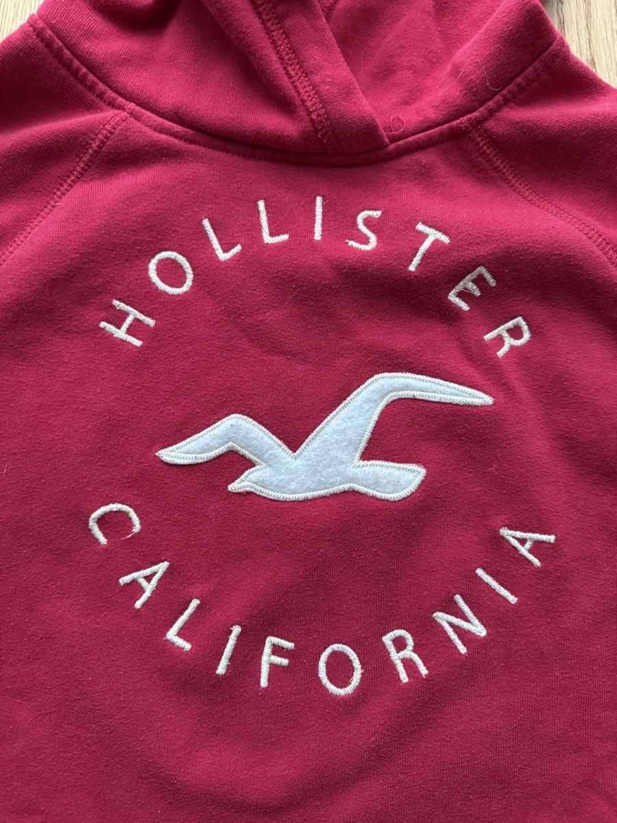Hollister Pullover & Sweatshirts: Hoodie Hollister – Gebraucht aus Vaduz von sbe_r8th 1