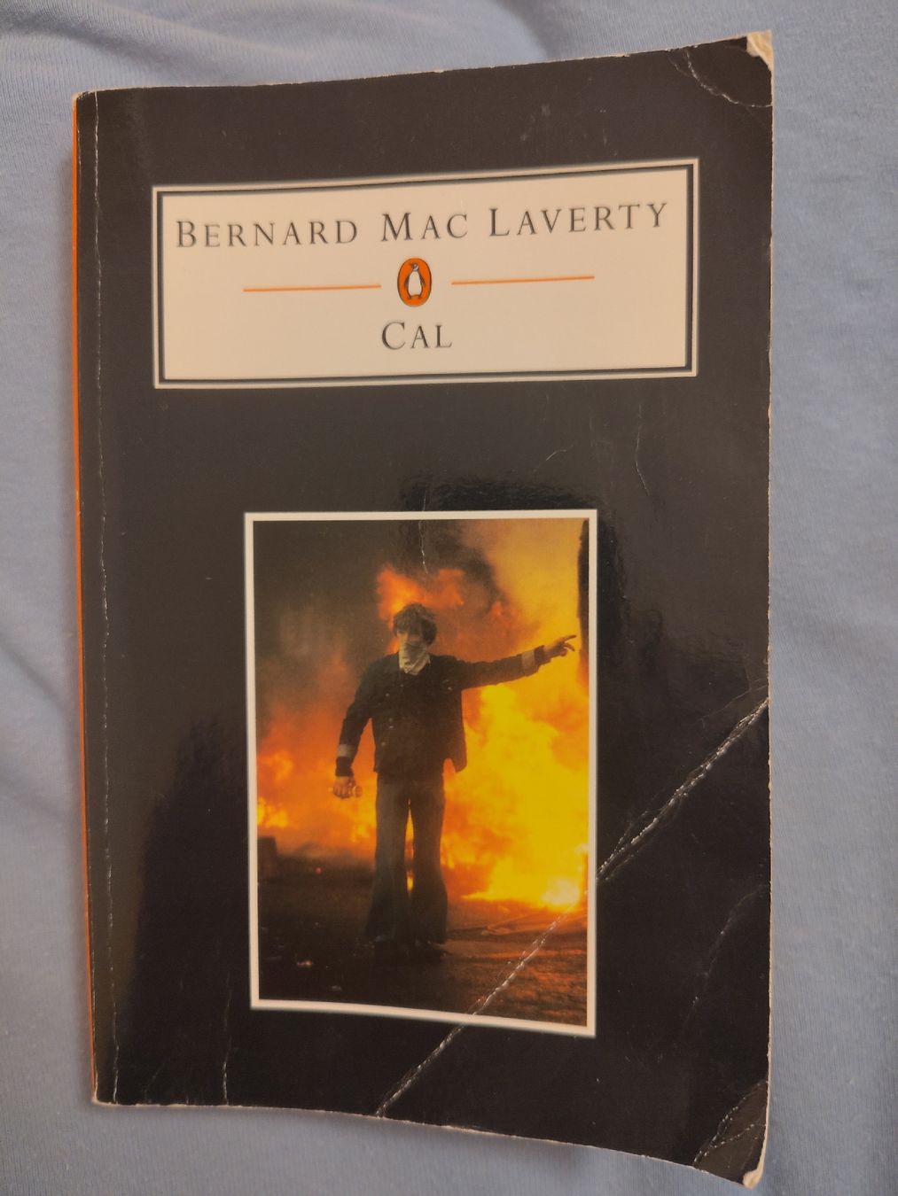 Bücher: Cal, Bernard Mac Laverty – Gebraucht aus Burgdorf von beschii