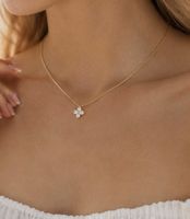 Collier en acier inoxydable 