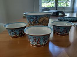Porcelaine Rosenthal, saladier et coupes à dessert
