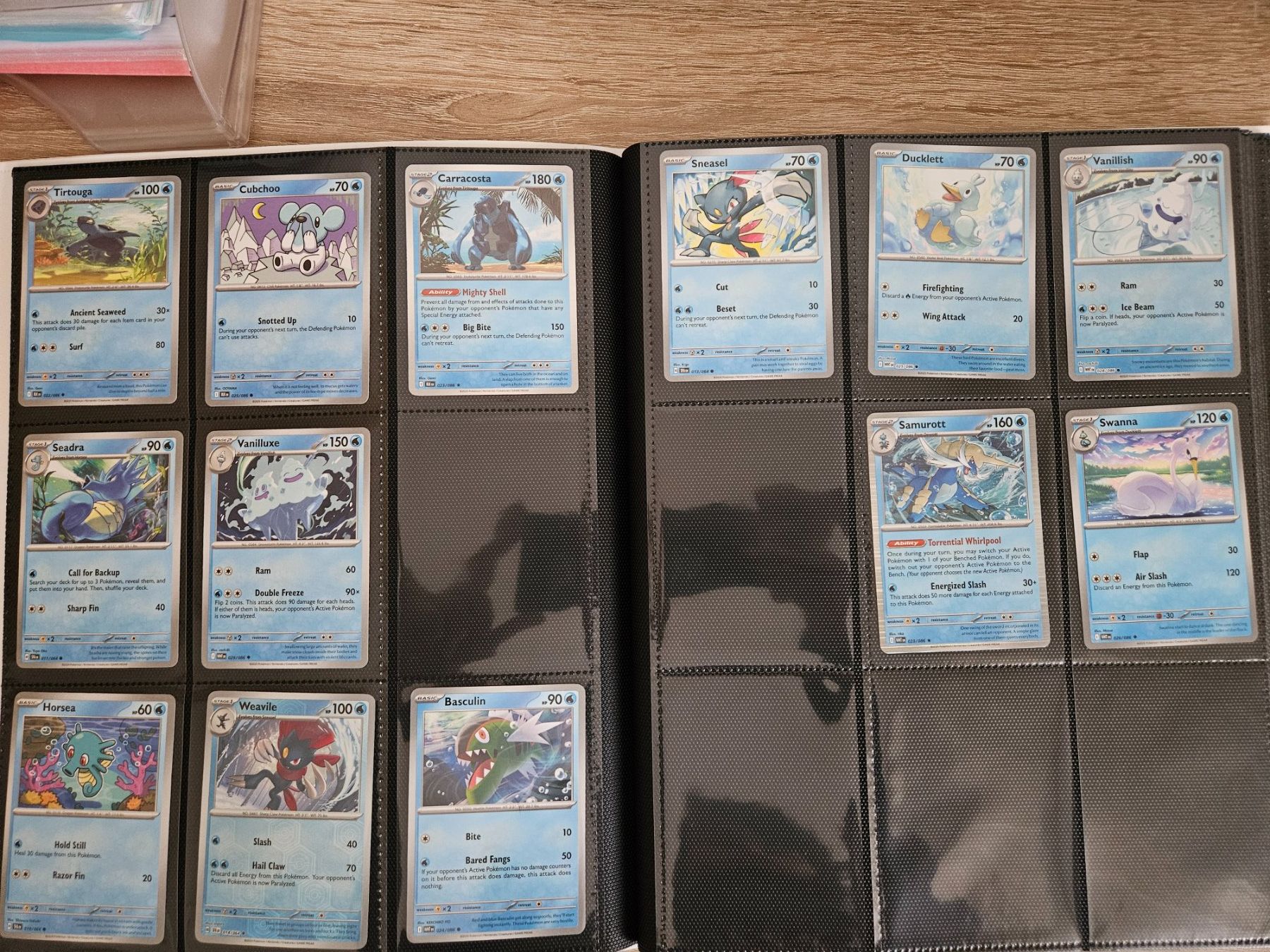 Pokémon Carte collezionabili: Sammelheft inklusive Karten – Usato da Basel venduto da sad_bcq7 3