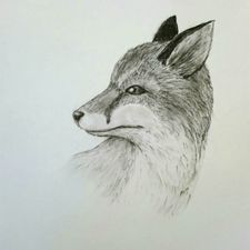 Profile image of joery70