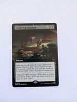 MTG Extended Art Inside Information The Hobbit NM