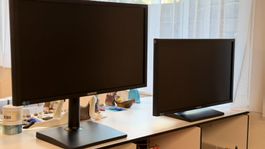 PC Monitor 24  Zoll "Samsung S24E450"