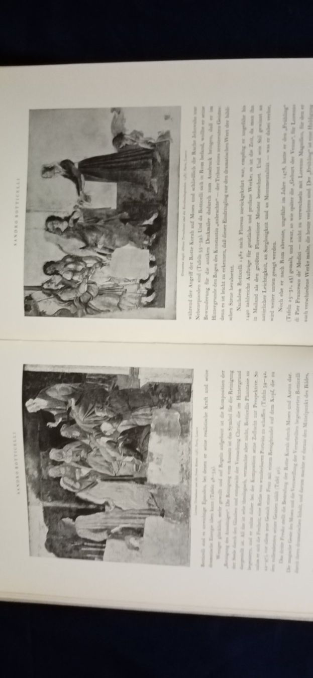 Libri: Botticelli , Bildband – Nuovo (secondo la descrizione) da Büsingen venduto da Flohminator 3