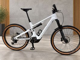 Canyon Spectral ON CF7 Carbon L