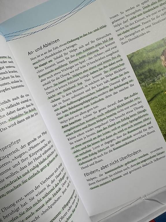 Libri: Welpen Erziehung  – Usato da Oberwangen TG venduto da Samsells 2