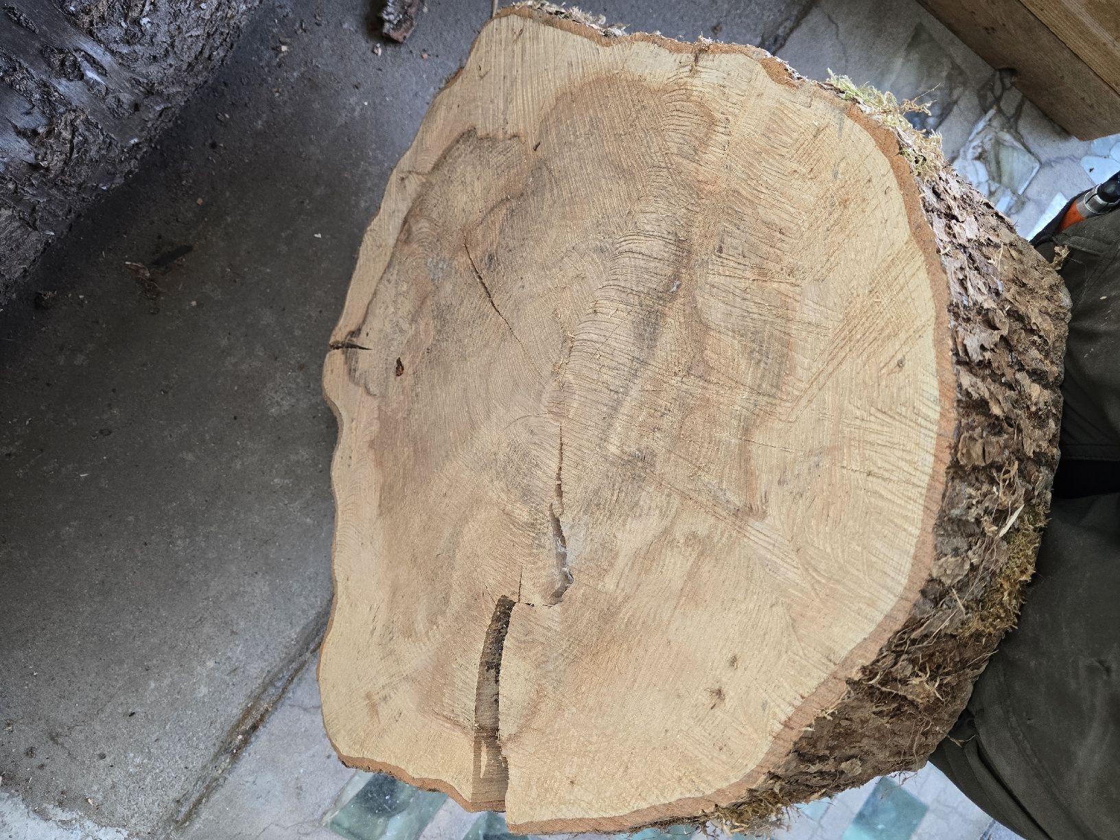 Articles en bois: Eschen Baumscheibe – Neuf (Voir description) à Ramsei par Waelchris 1