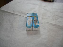 Zündkerzen NGK