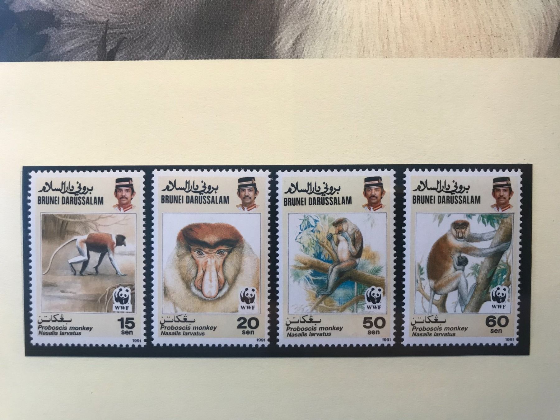 Tutti i francobolli: WWF Brunei 1991 Satz Nasenaffe postfrisch – Nuovo (secondo la descrizione) da Liestal venduto da schnueps