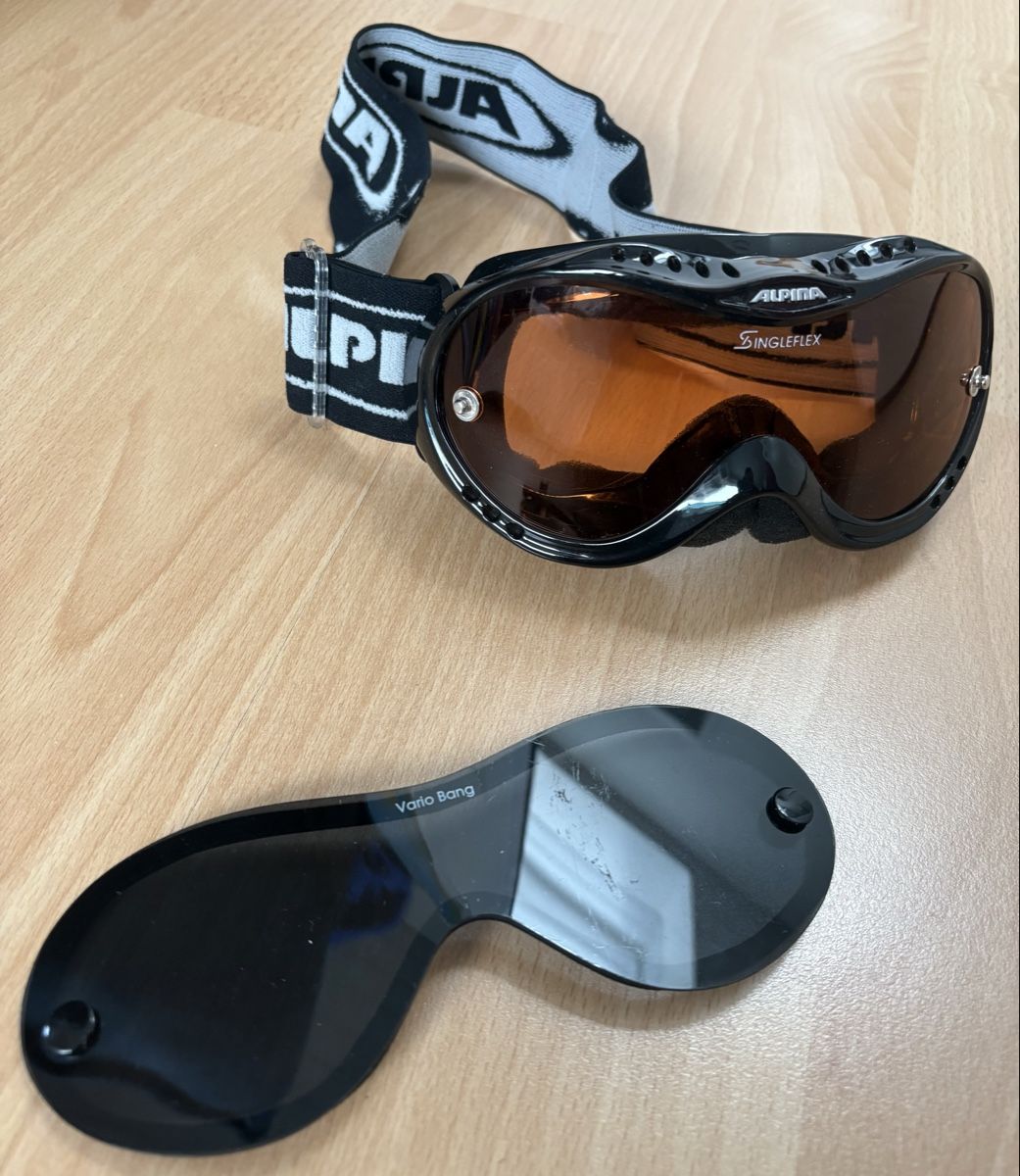 Alpina Occhiali & Lenti: Kinder Skibrille von Alpina  – Usato da Hünenberg See venduto da spartakus02