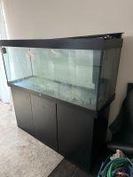 Juwel Aquarium mit Möbel