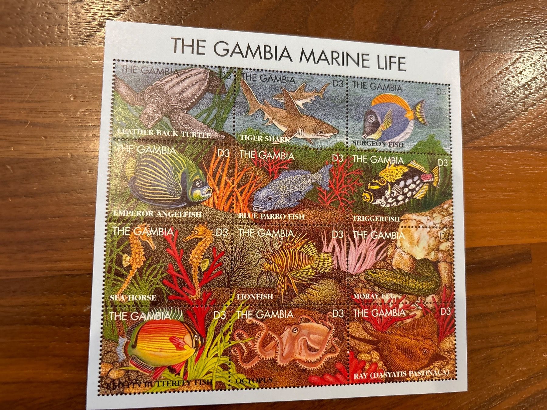 Tutti i francobolli: Gambia Marine Life Briefmarken – Nuovo e nell'imballaggio originale da Zürich venduto da engebrunau