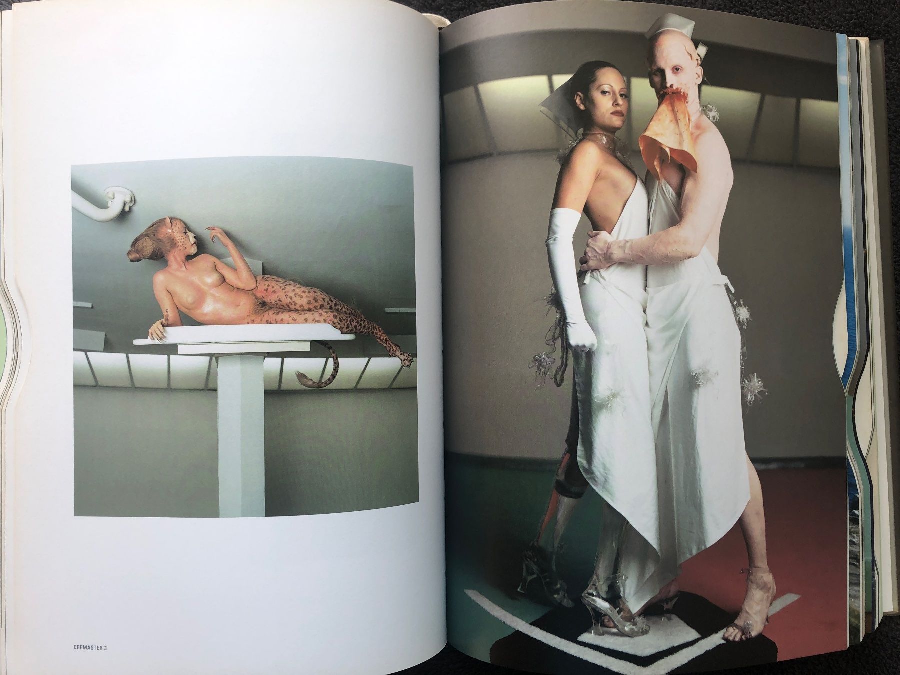Libri: KUNST MATTHEW BARNEY - THE CREMASTER CYCLE neu! – Nuovo (secondo la descrizione) da Wallisellen venduto da Fax 9
